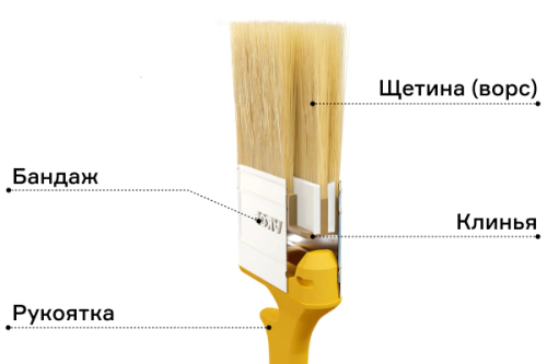 Структура малярной кисти